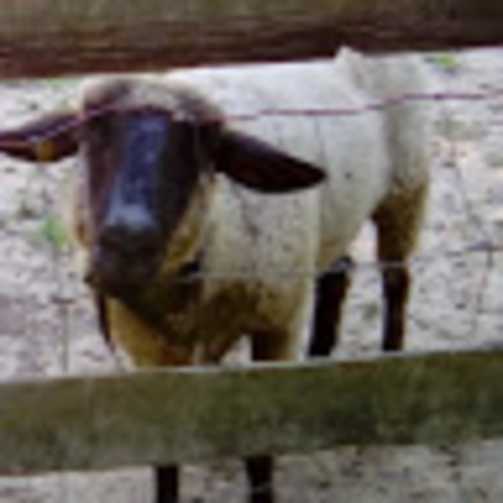 Meet your Posher, Mel